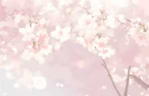 春の花の背景イラスト07