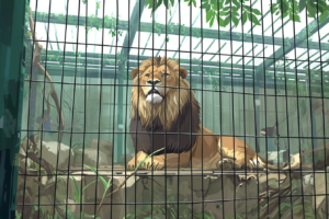 鉄格子の後ろに座っている威厳のあるライオンが描かれた動物園のイラスト。背景には緑の植物とガラスの屋根が見える。