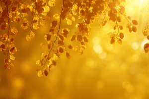 黄金色の光を浴びて輝く葉が垂れ下がる、温かみのある幻想的な自然イラスト。