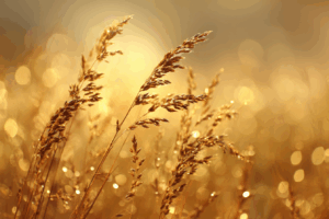 黄金の草原に輝く穂が光を反射し、温かい雰囲気を醸し出す幻想的なイラスト。