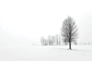 霧の雪原に右手前の一本の落葉樹と、奥に並ぶ並木と小屋がかすむハイキーな冬の風景